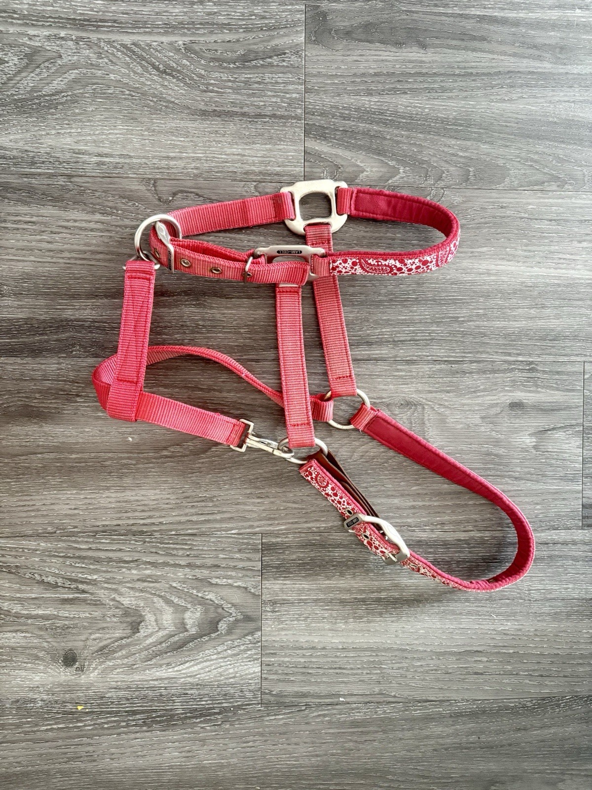 Horse/Pony Breakaway Halter - Red Spiral Design