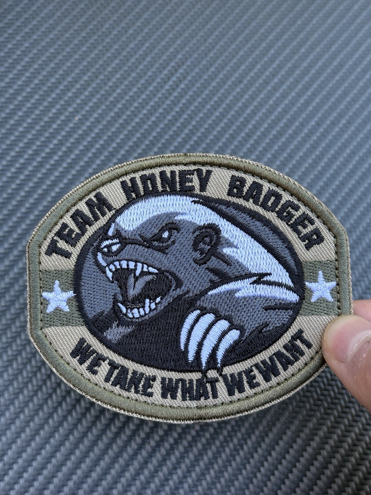 Honey Badger Team Take What We Want Tactical Military Hook Loop Patch Green