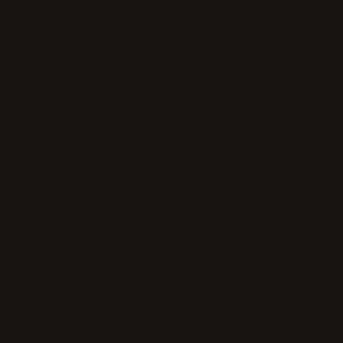 Turbo Spray Paint 24 Ounce (Pack of 1) Stops Rust Gloss Black