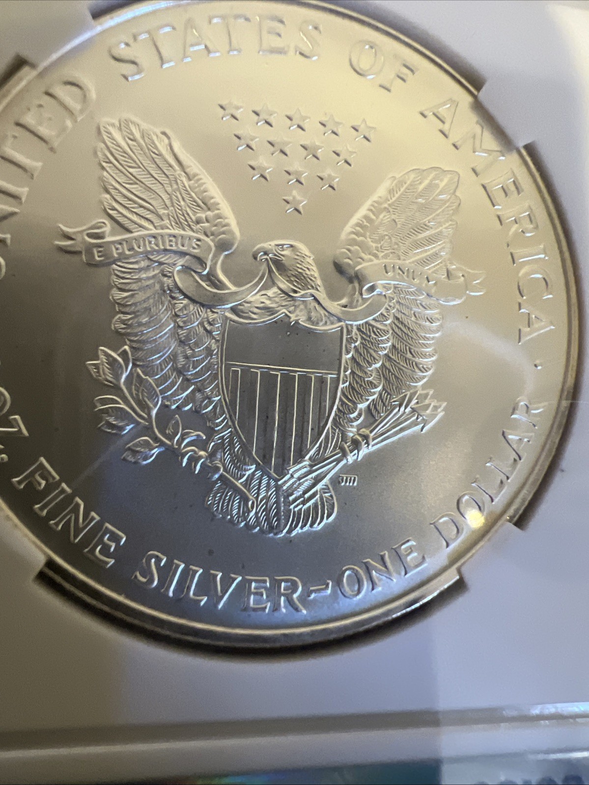 1996 SILVER EAGLE Coin Highest Grade