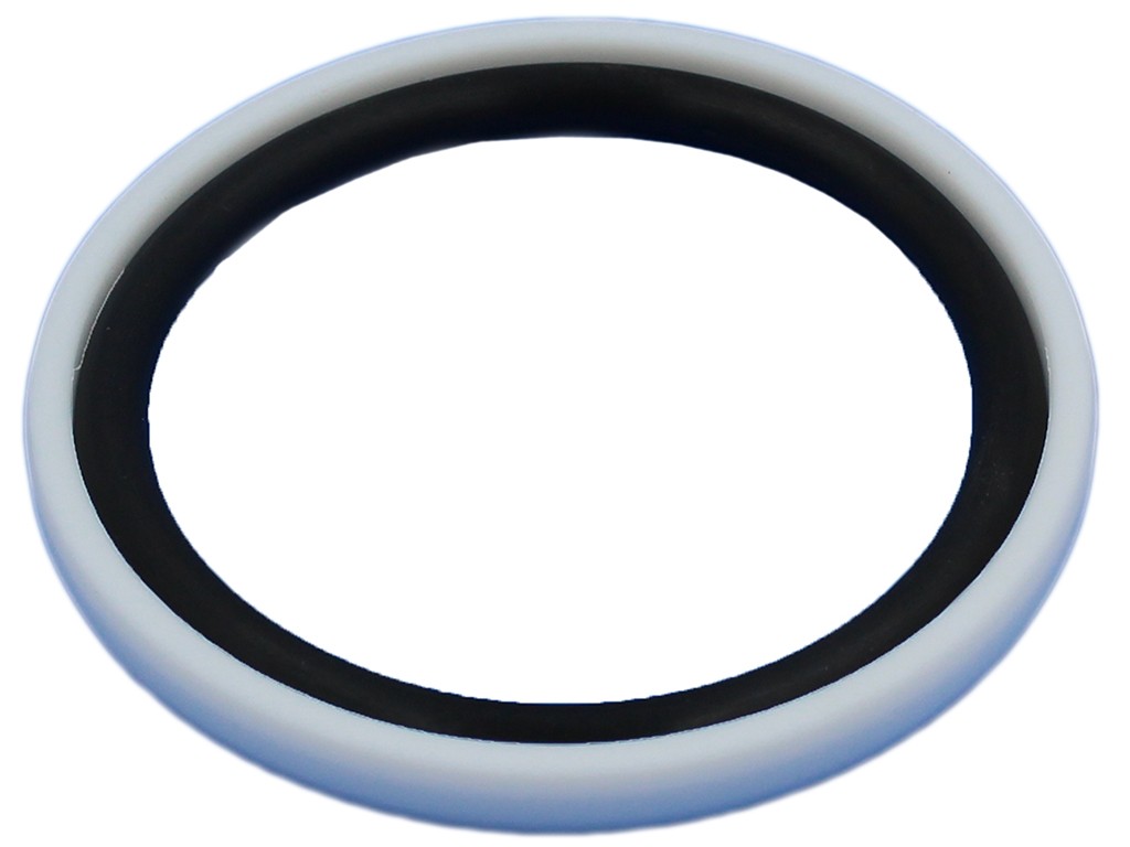 Hydraulic Lift Piston Seal Kit Compatible With Massey Ferguson 240, 1665685M91