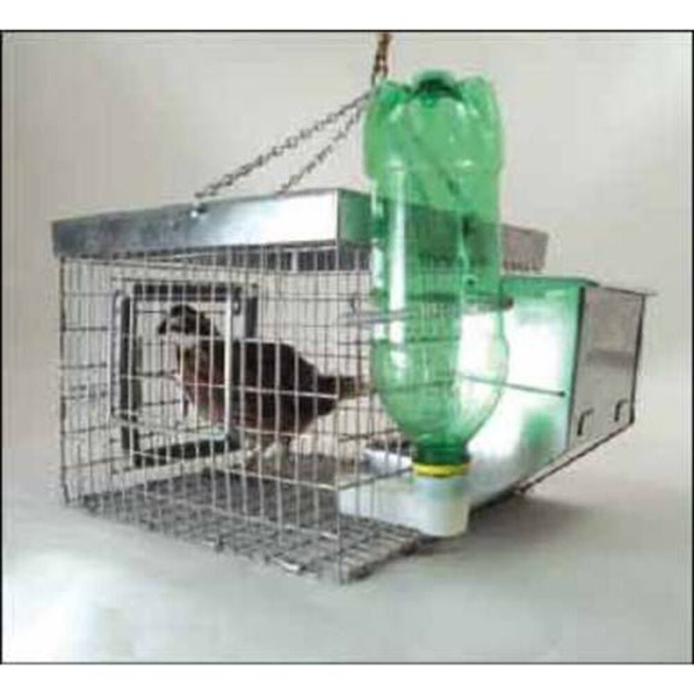 Quail Recall Birdhouse - Lion Country Supply - Made in USA