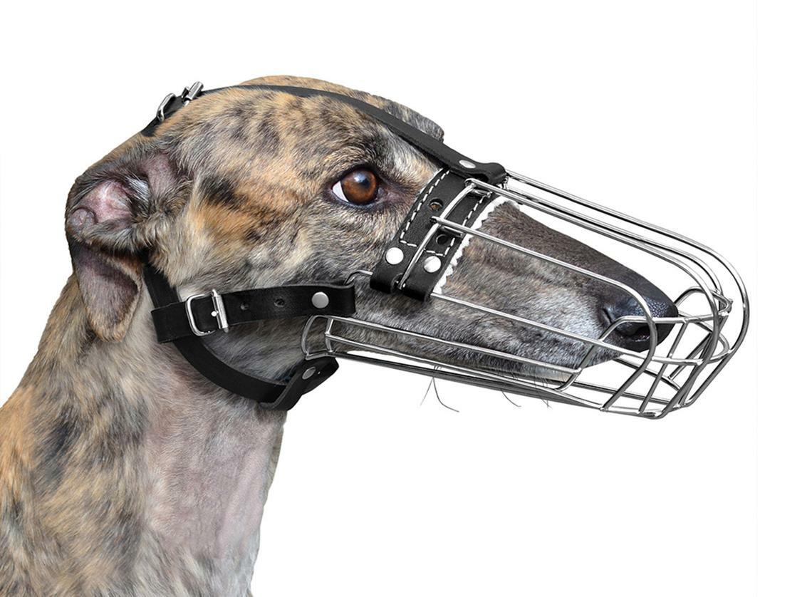 New Metal STRONG Wire Basket Dog Muzzle Greyhound Collie and similar dogs 3D