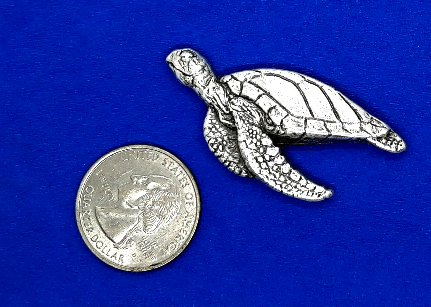 Large Sea Turtle Conchos / Concho 2" x 7/8" 5 Total