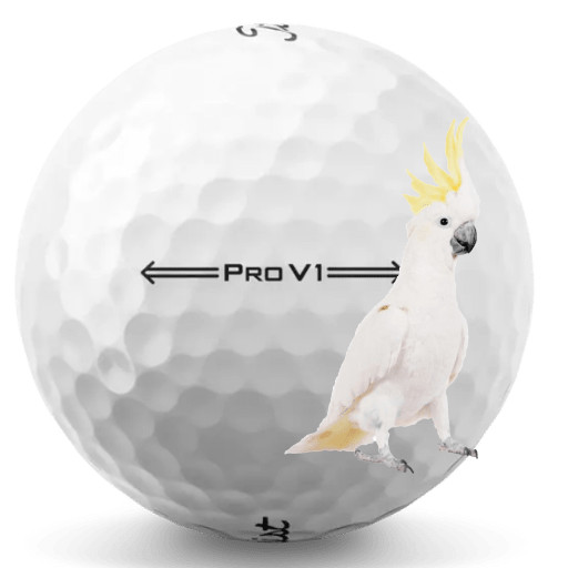Titleist Pro V1 2022 White 48 5A Pro V1  2022 Used Washed Only Titleist 48