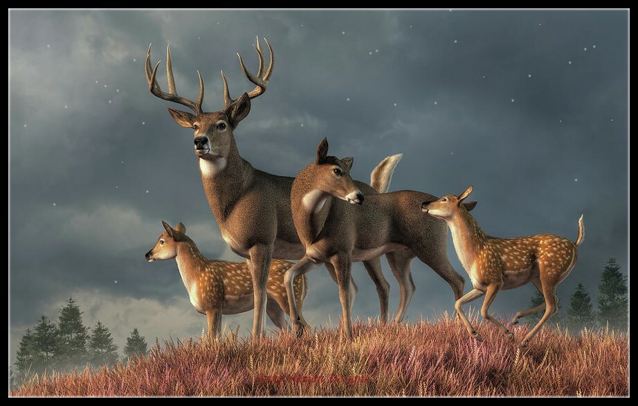 White Tailed Deer Family - Chart Counted Cross Stitch Patterns Needlework DMC