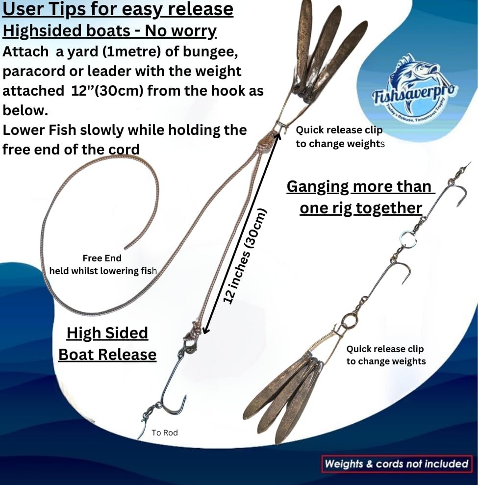 Compact Fish Descending Device - Reliable Release Tool for Red Snapper, NOAA Com