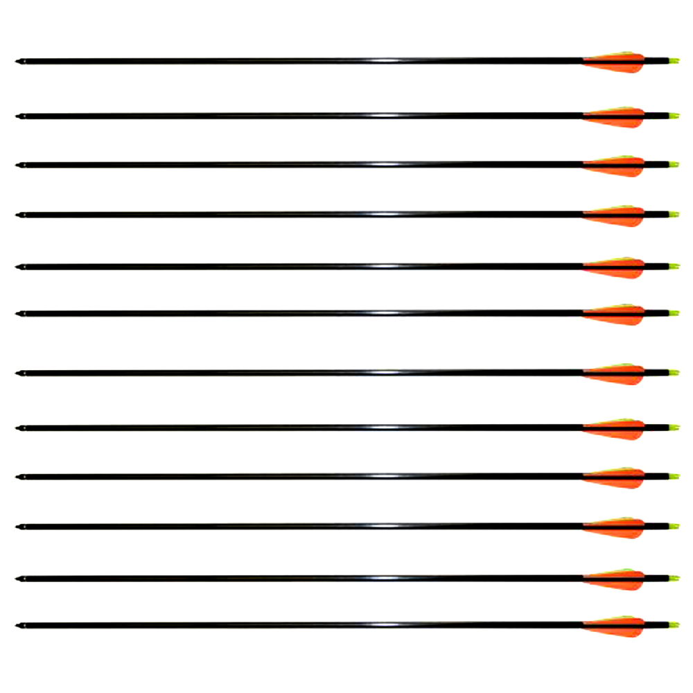 12 Fiberglass 32 Inches Arrows 32" for Compound Archery Bow Screw in Field Point