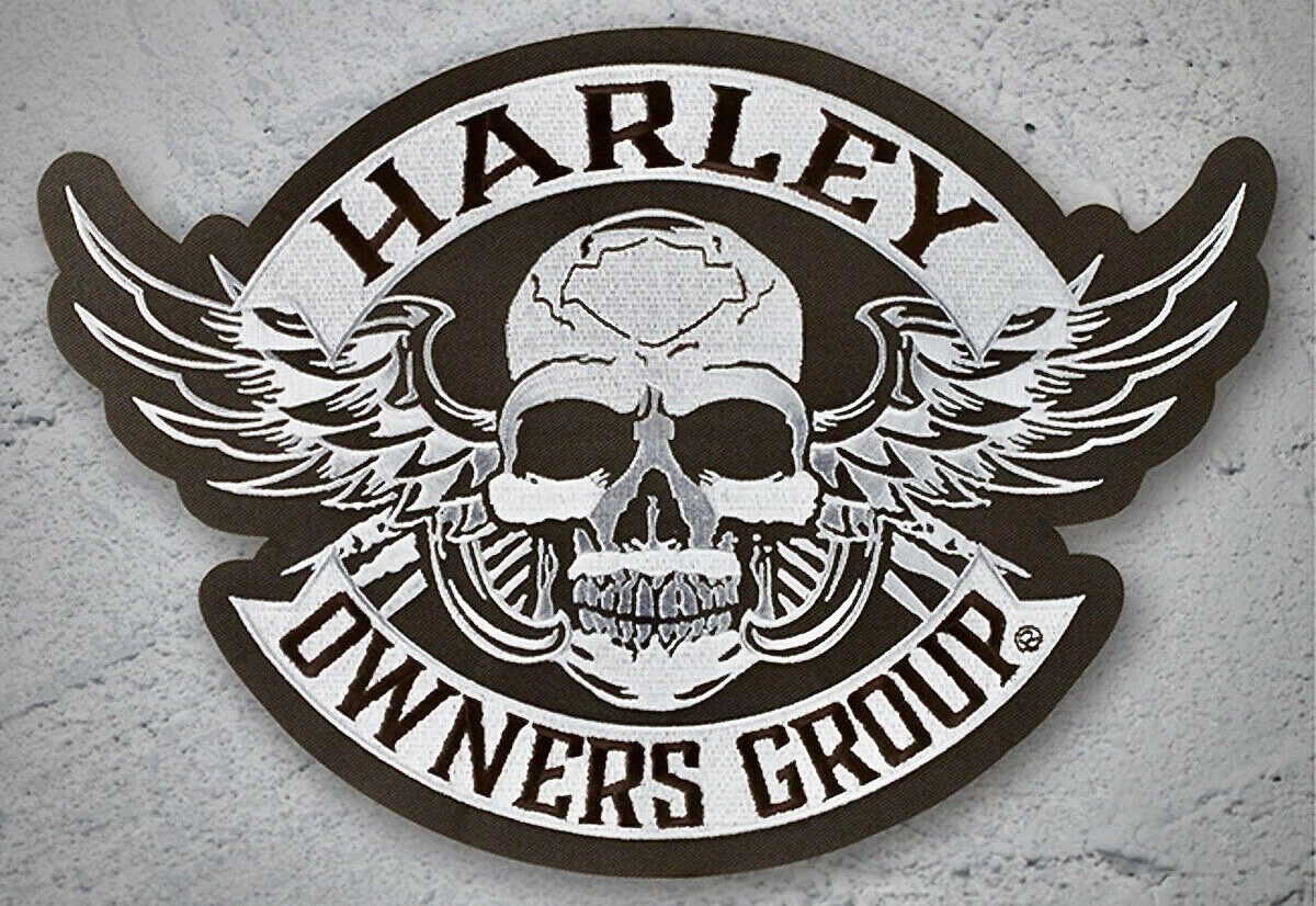 Harley Davidson Owners Group H.O.G. Winged Skull Small Embroidered Patch