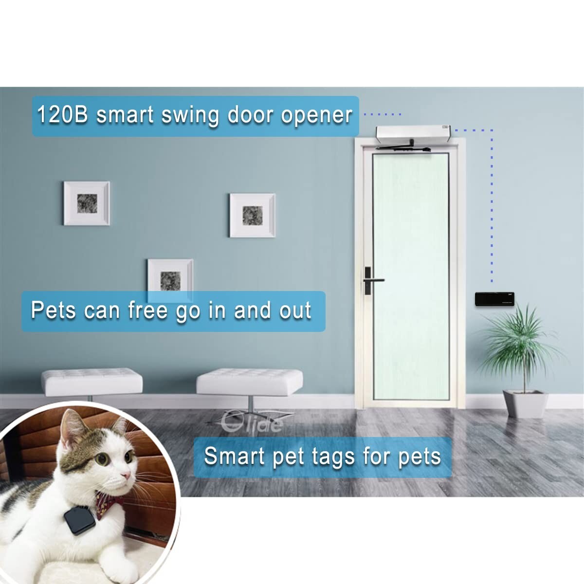 Automatic Door Smart RFID Controller and Tags, Phone Remotely Control Pet Collar