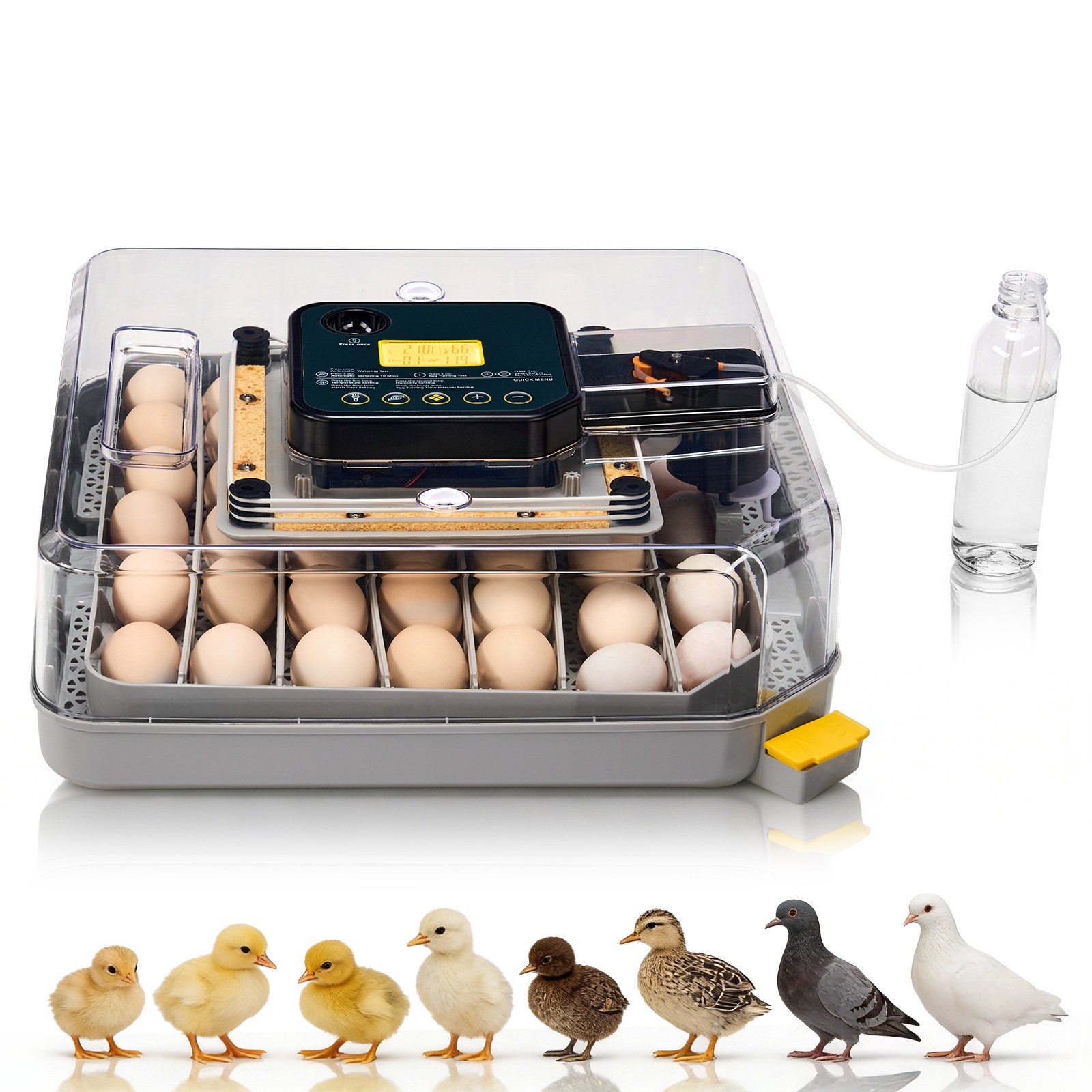 48 Egg Incubator with Automatic Egg Turning and Humidity Control Incubators