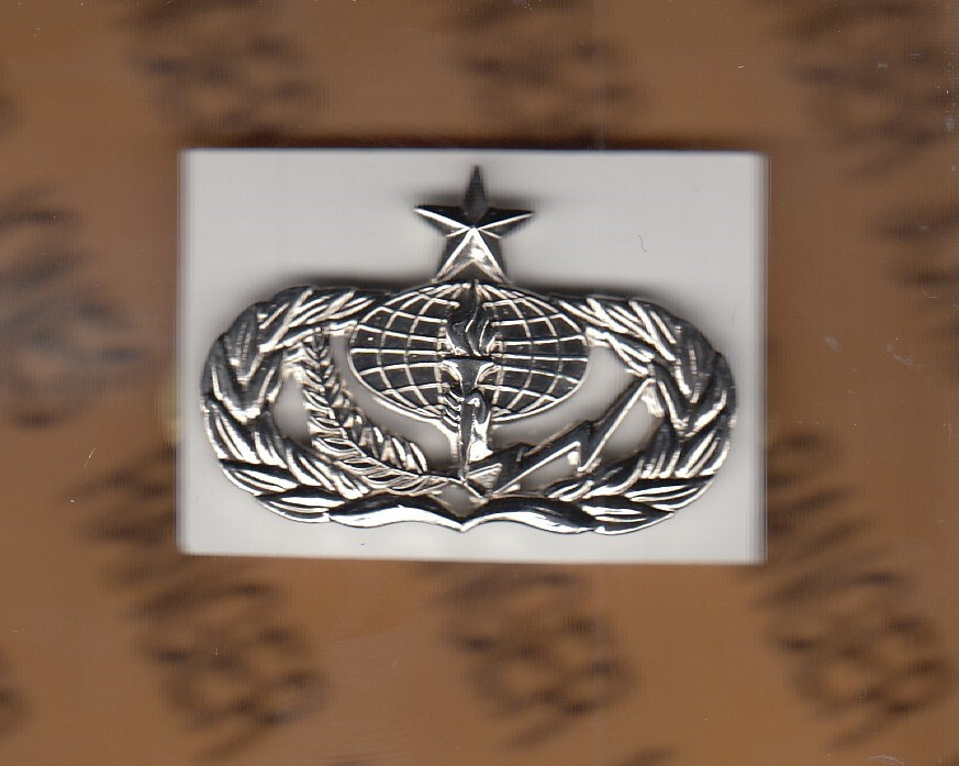 USAF Air Force Enlisted Senior SERVICES Stabrite ~1.75" Fullsized badge c/b