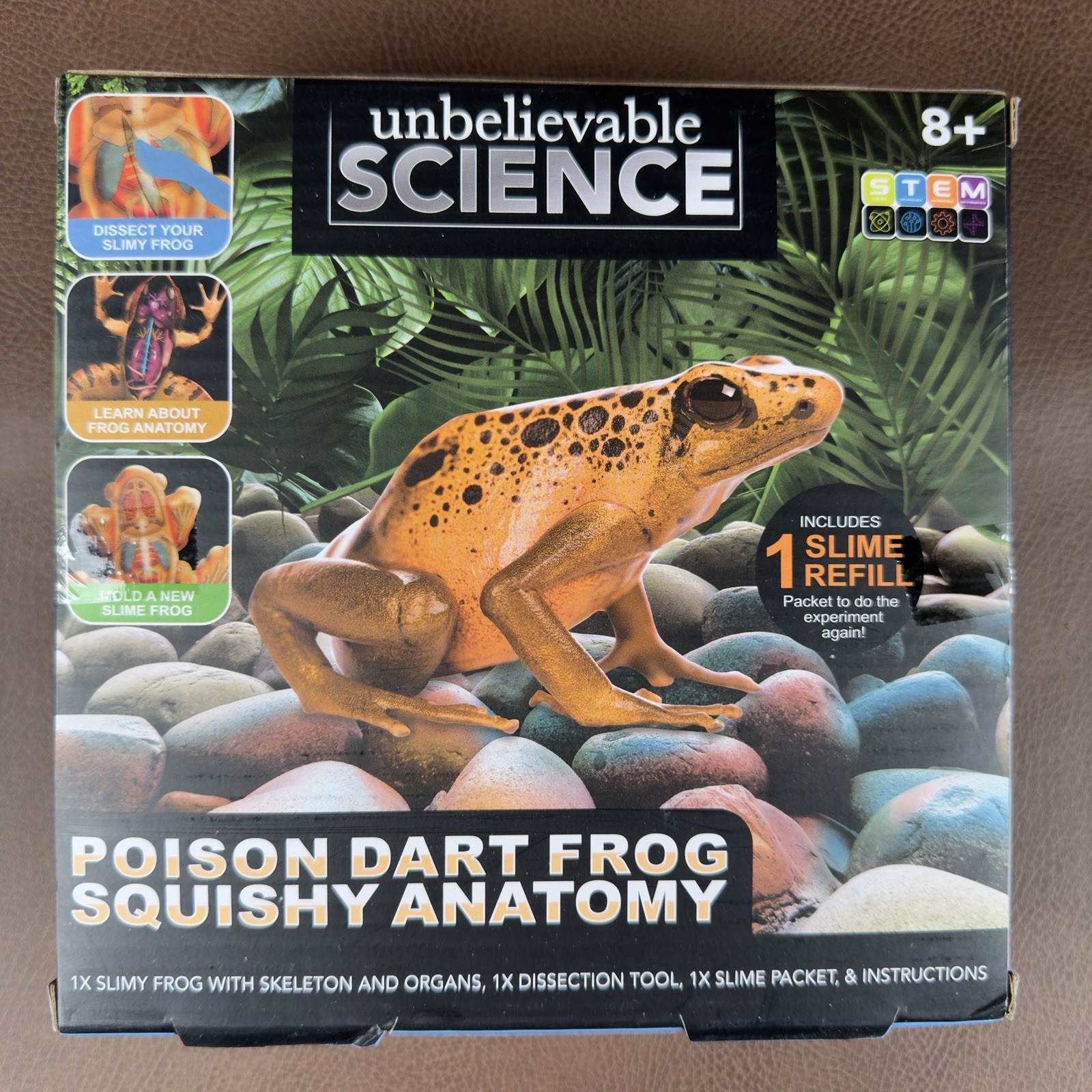Unbelievable Science Poison Dart Frog Squishy Anatomy Dissecting Kit Educational