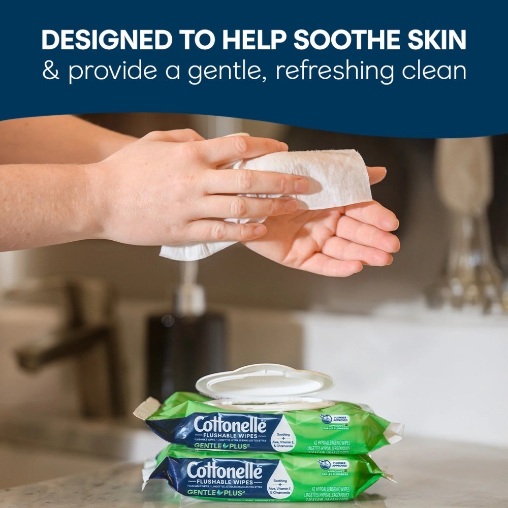 Gentle Plus Flushable Wet Wipes, 4 Flip-Top Packs
