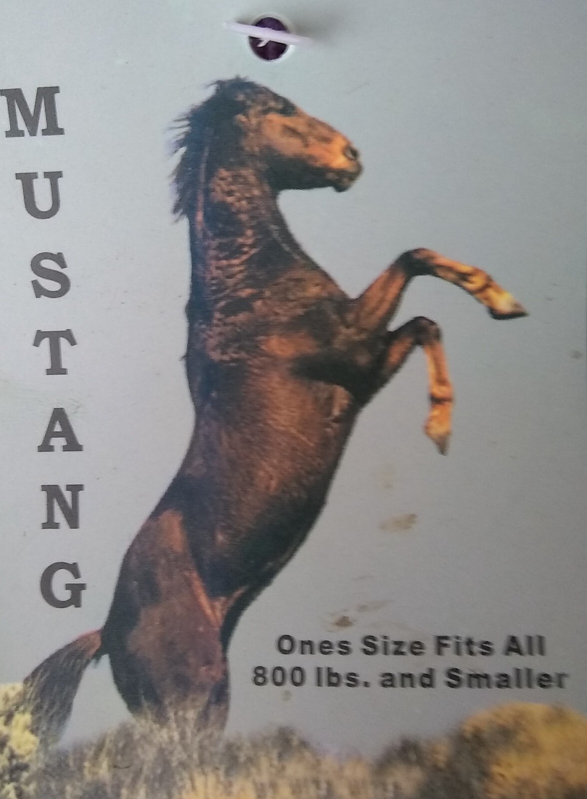 Halter Horse 800lbs and Smaller 6-foot lead Cotton/Poly by Mustang New Old Stock