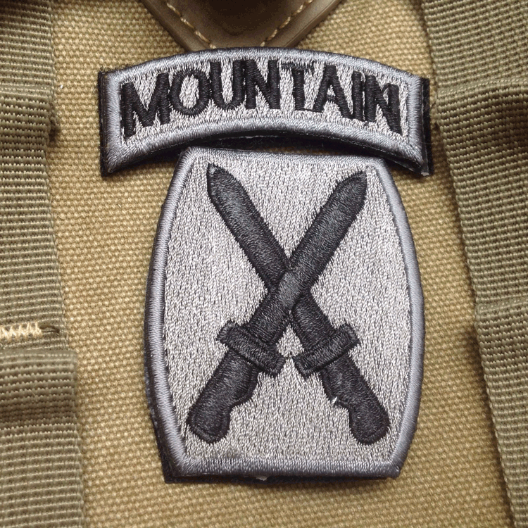 USA 10TH MOUNTAIN DIVISION ARMY Embroidered Hook BADGE PATCH
