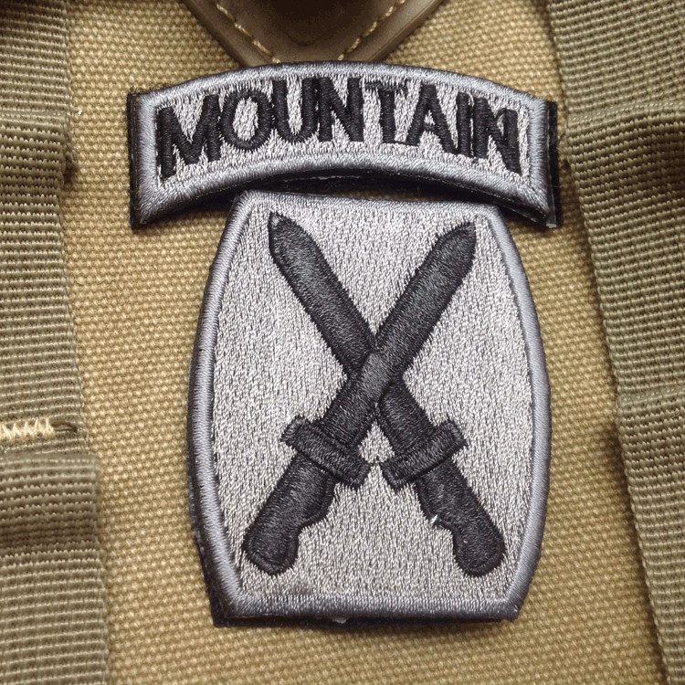 USA 10TH MOUNTAIN DIVISION ARMY Embroidered Hook BADGE PATCH
