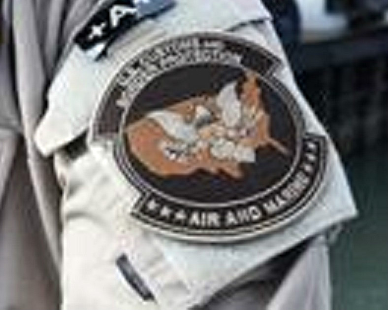 US NUCLEAR SECURITY ADMINISTRATION SPECIAL REACTION TEAMS SRT vêlkrö GRAY PATCH