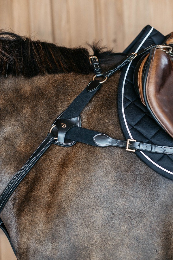 Dion Elastic Chest Harness (5-Point)