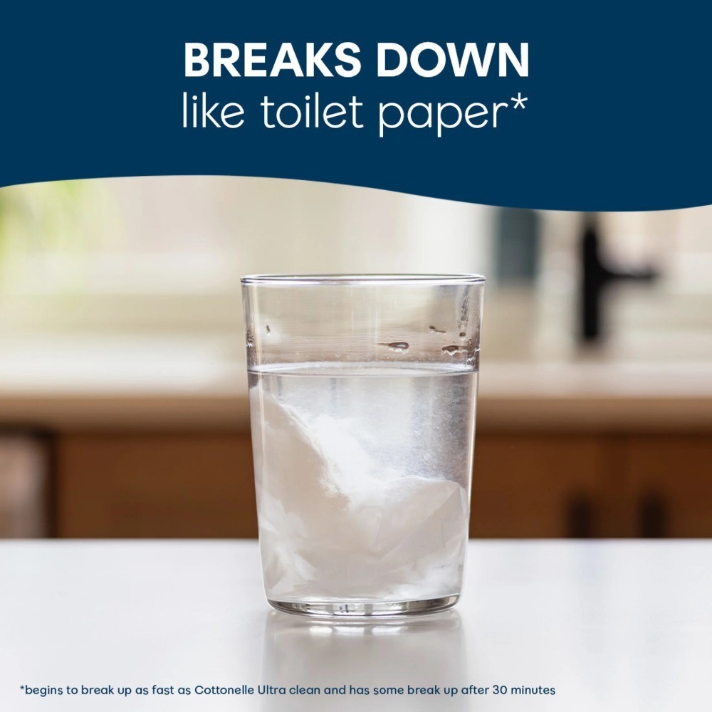 Gentle Plus Flushable Wet Wipes, 4 Flip-Top Packs
