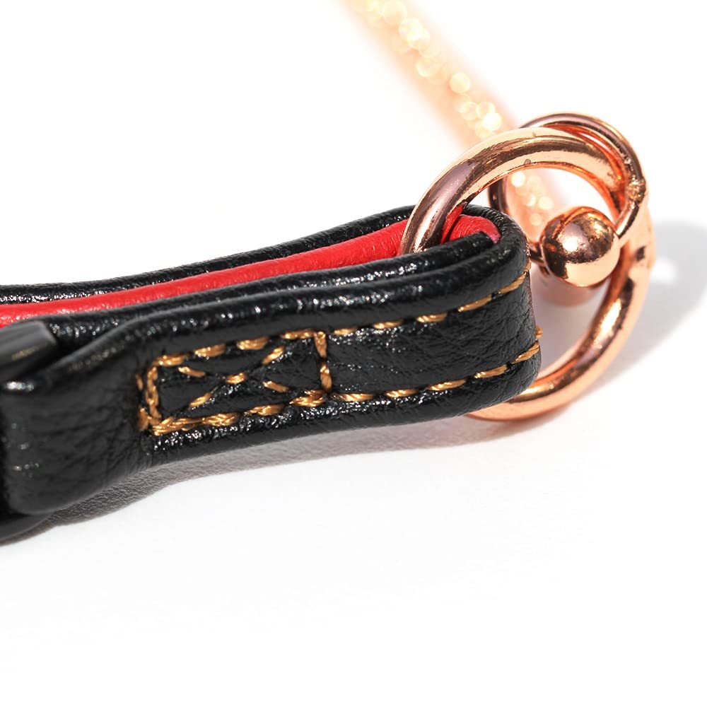 Chew Proof Dog Leash Snake Chain Red Bronze Metal with Leather Handle for Dog...