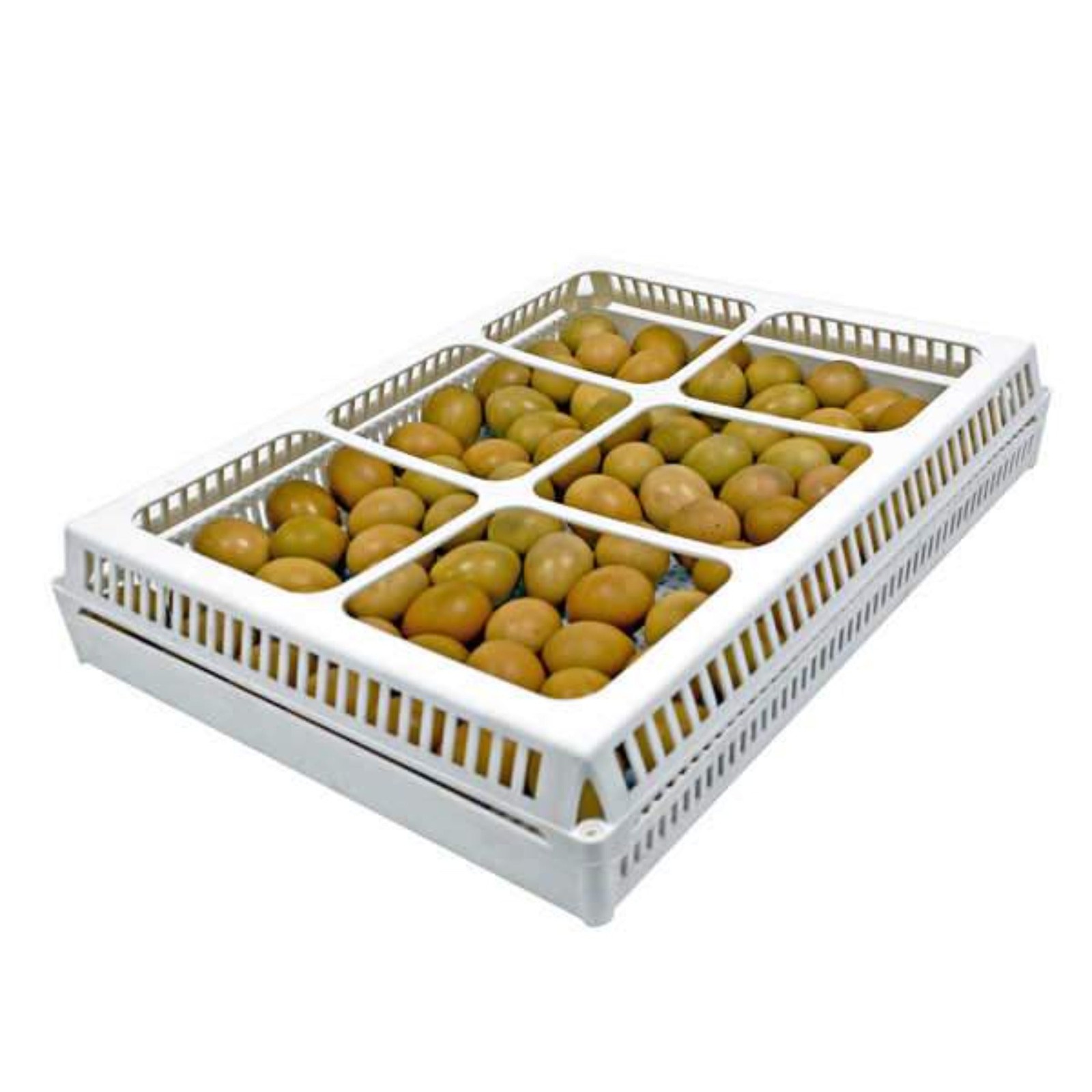 Flexy80 Setter Tray Cover