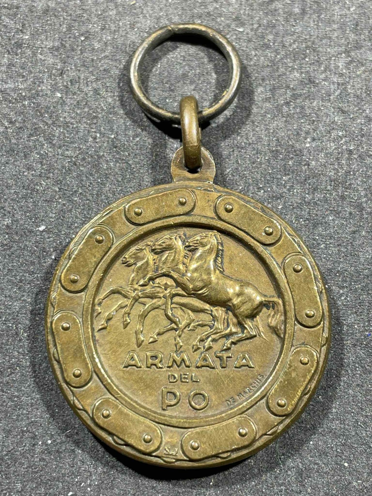 WWII WW2 Army Military Italian Army of the Po Armored Tank 6th Army Medal Award