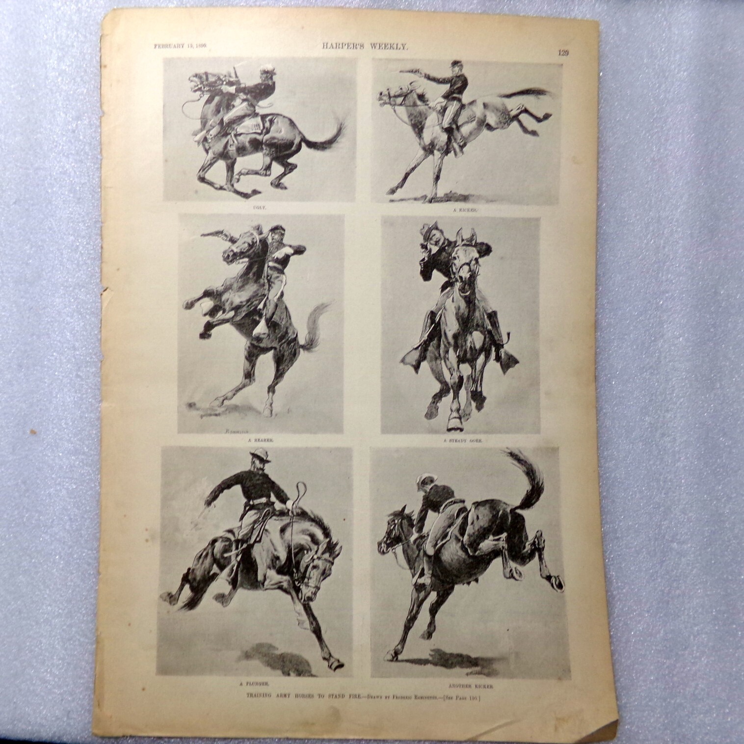 Harpers Weekly Print 1890 Training Army Horses to Stand Fire Ugly Kicker Rearer