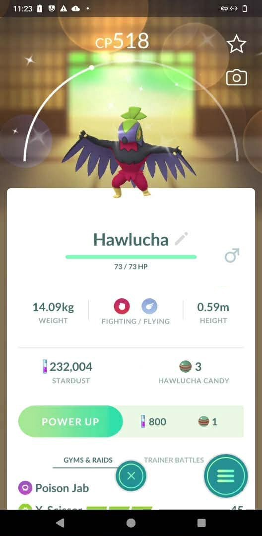 Pokémon Shiny Hawlucha - GO Read description