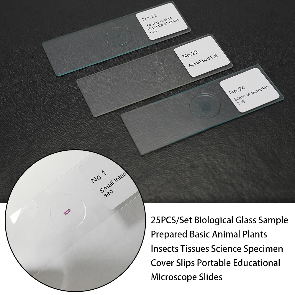 25PCS/Set Biological Glass Sample Prepared Basic Animal Plants Insects T5D9