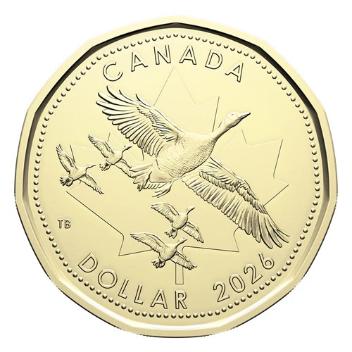 🇨🇦 2026 Oh Canada New $1 Special Loonie