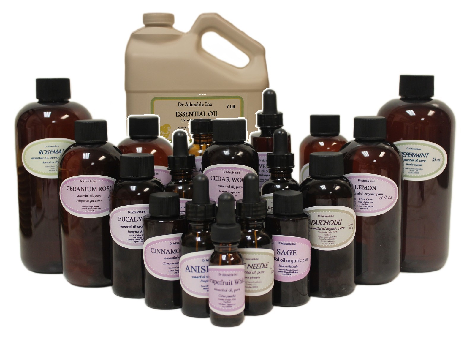 Cinnamon Leaf Therapeutic Grade Essential Oil Pure Sizes from 0.6 oz to 1 Gallon