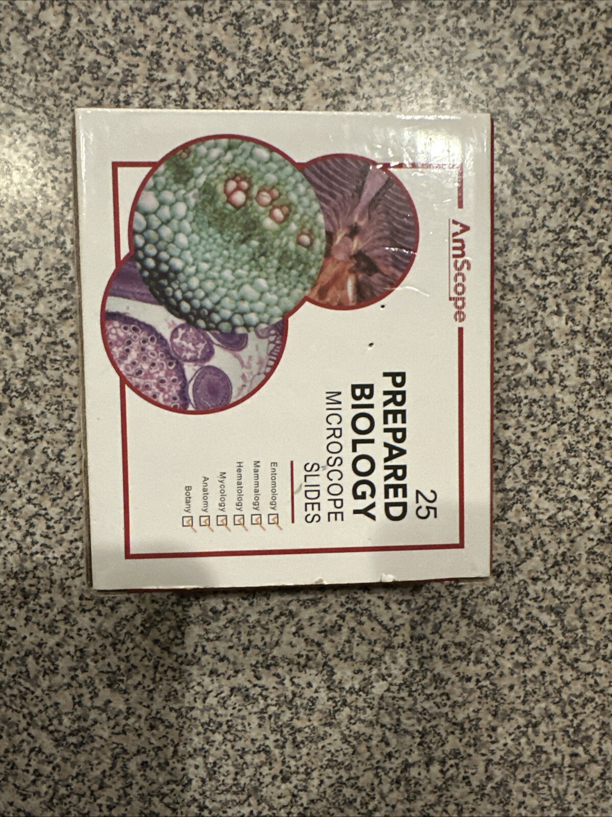 Biology 25 Prepared Microscope Slides