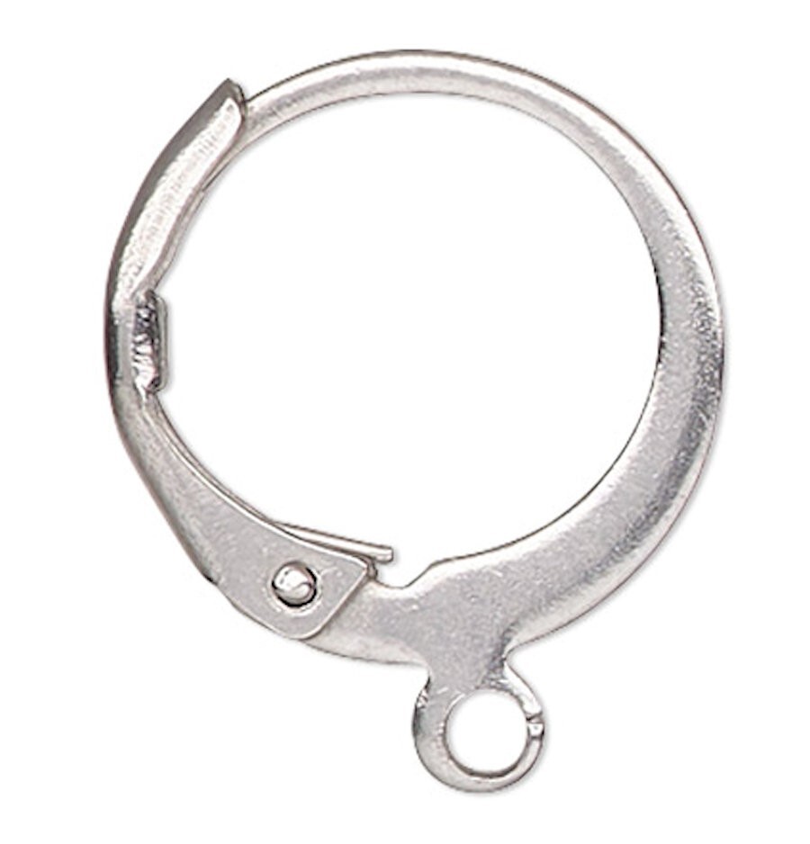2 Pair Stainless Steel 14.5mm Round Leverback Earrings with Open Loop
