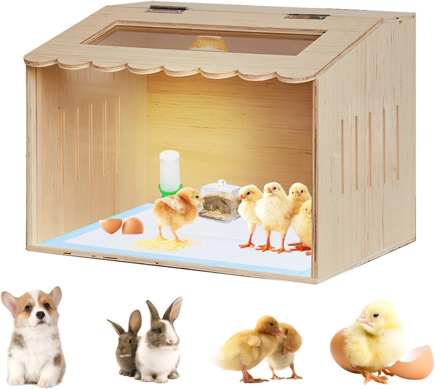 Chick Brooder Box for Chicks, Quail Brooder Box Kit with Heater Feeder and Wa...