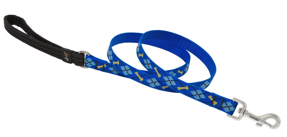 LupinePet 3/4" Dapper Dog 6-Foot Padded Handle Leash for Medium & Large Dogs