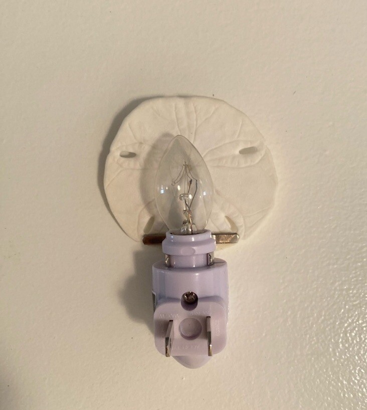 Hand-Crafted Real Sand Dollar Night Light