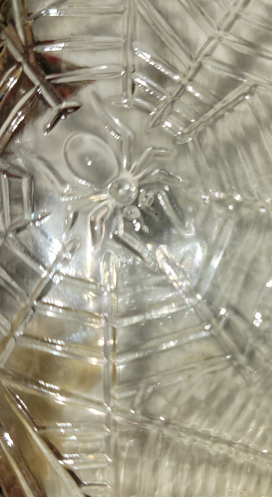 Clear Glass Liquor Bottle Spiderweb Embossed Pattern w/ Spider And Fly