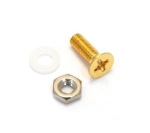Gretsch Pickguard Screw with Nut & Washer - Gold