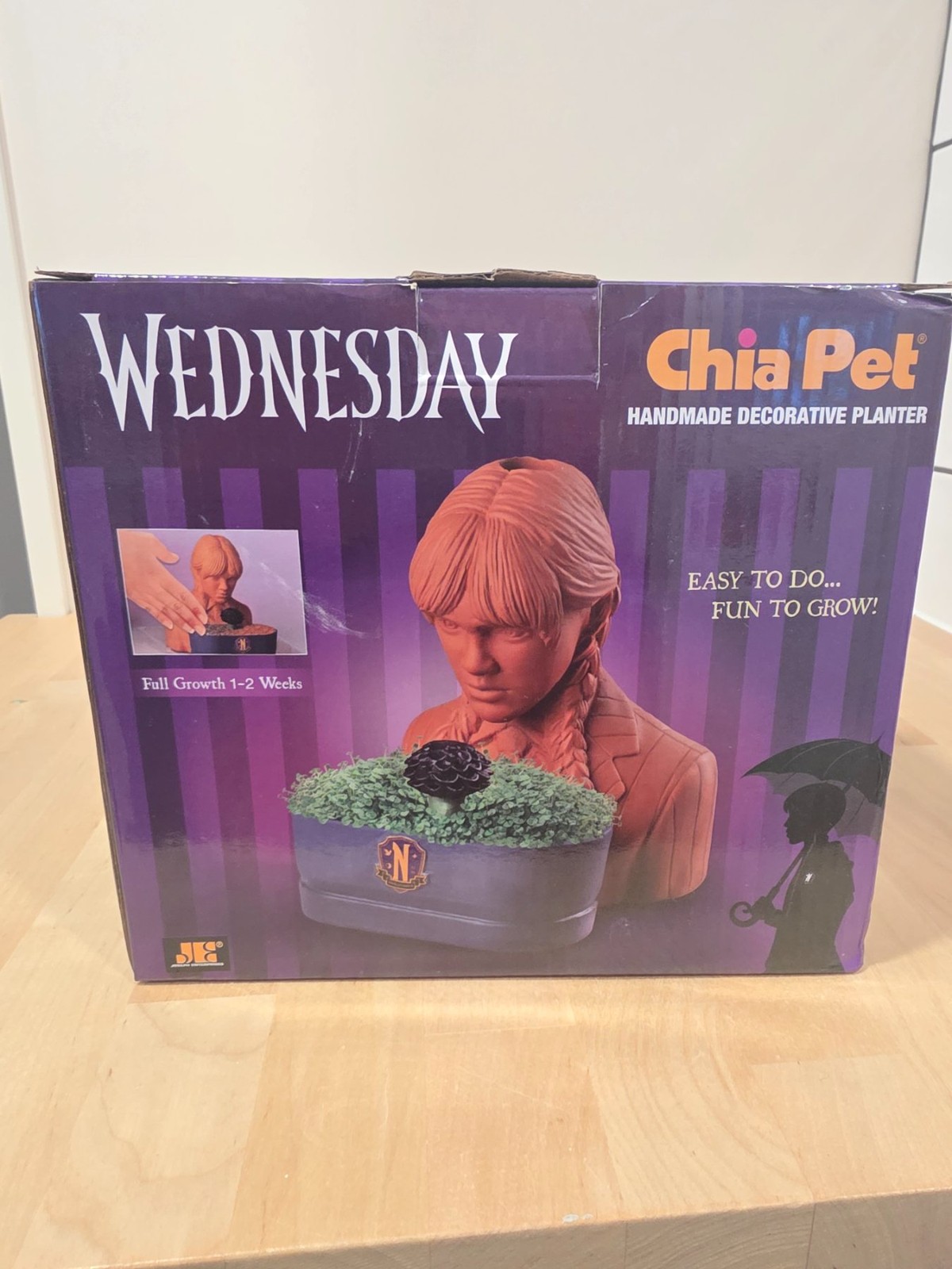 Chia Pet Wednesday Handmade Decorative Planter 2023 Joseph Enterprises