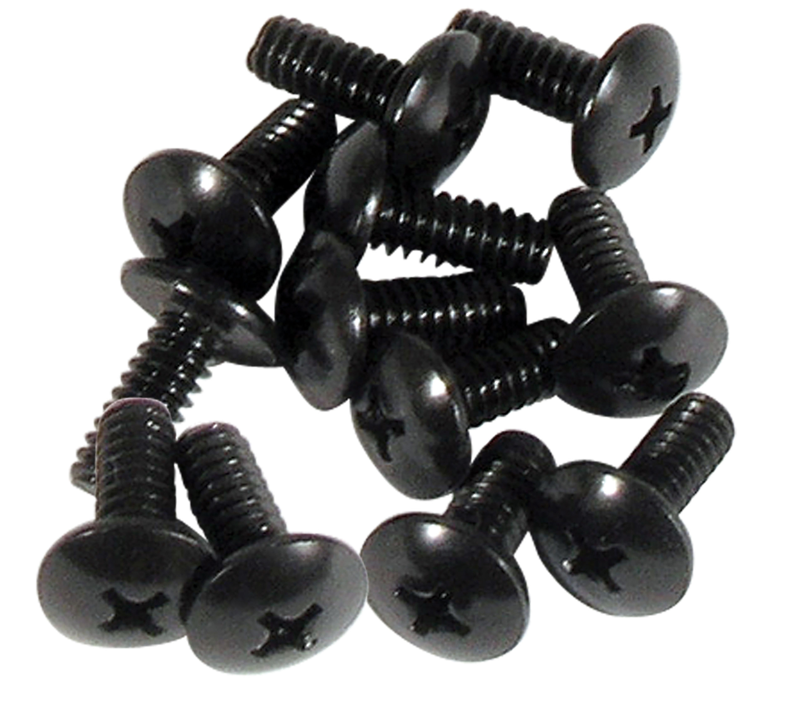 Corvette C2 Shift Boot Retainer Screws 12 Piece Set 1963-1967
