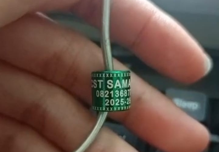Personalized Pigeon Dove Bands Rings - 50PCS 3 lines design