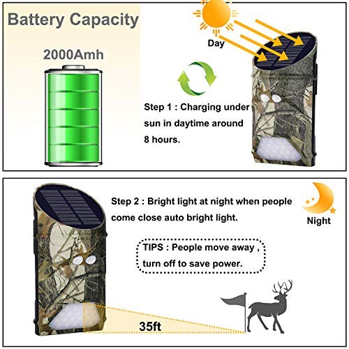 Solar Green Game Feeder Lights with Motion Activated for