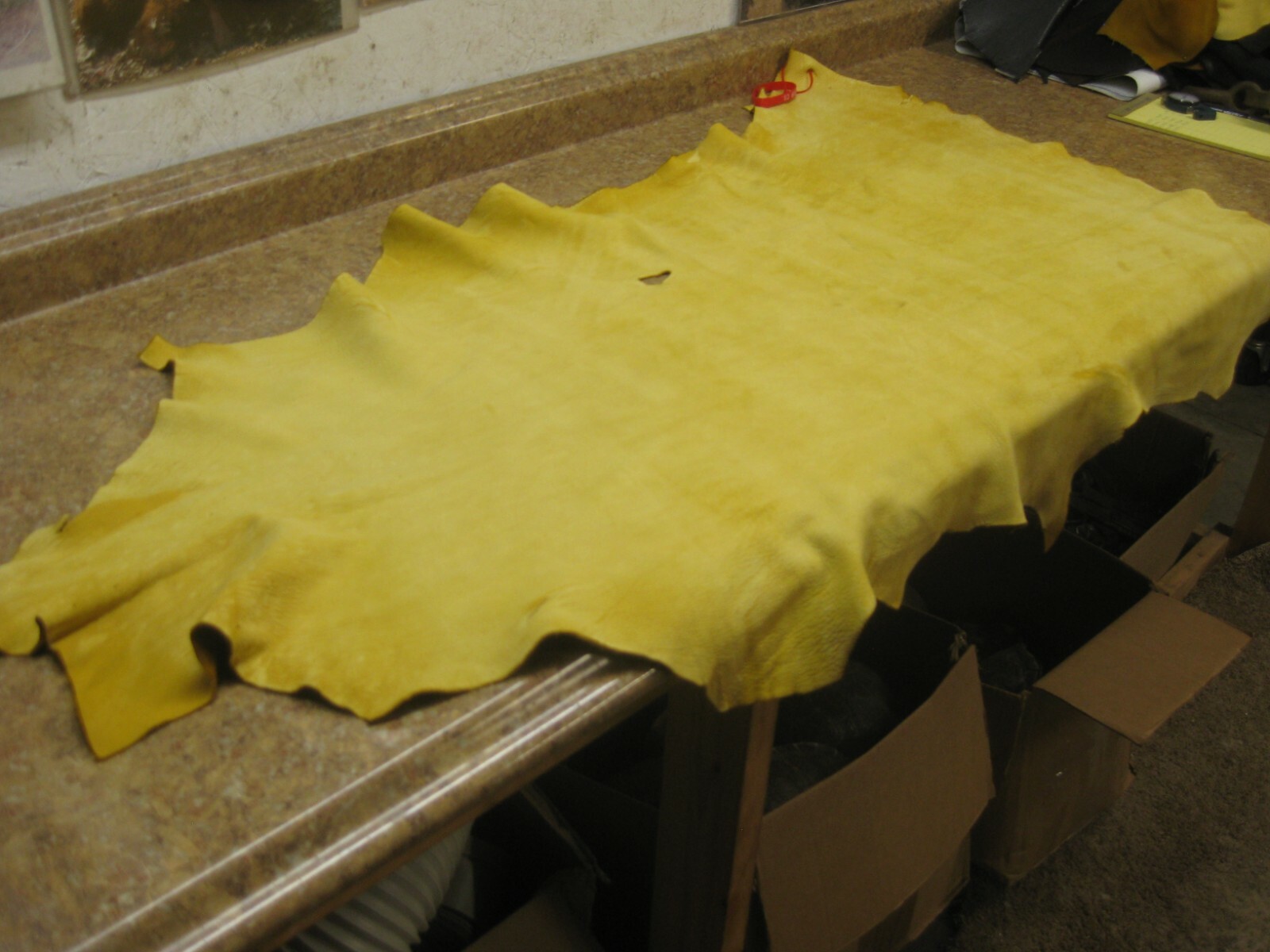 Nubuck Deer Leather    #0013917  Row 144