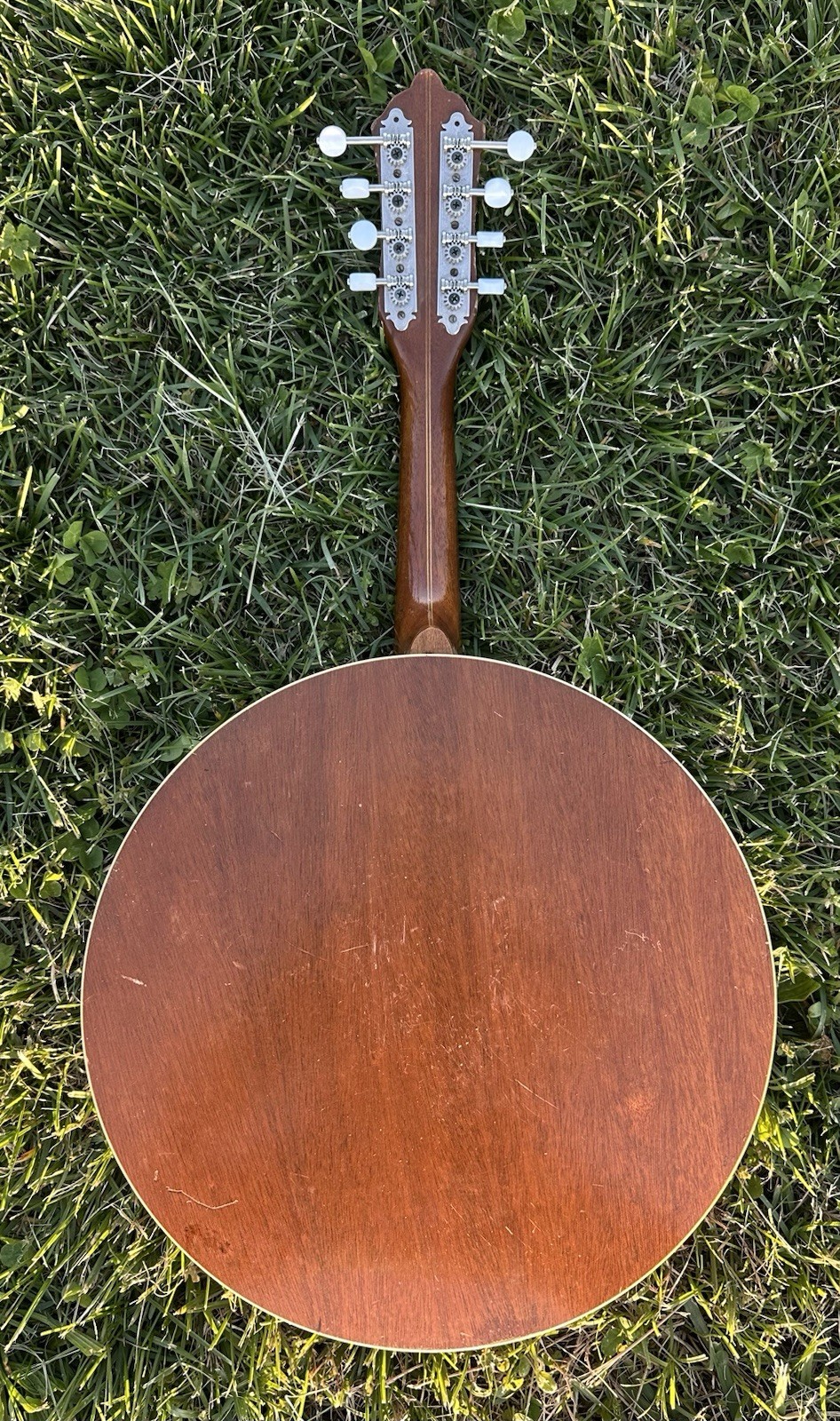 Vintage Old Mandolin Banjo (Banjolin)