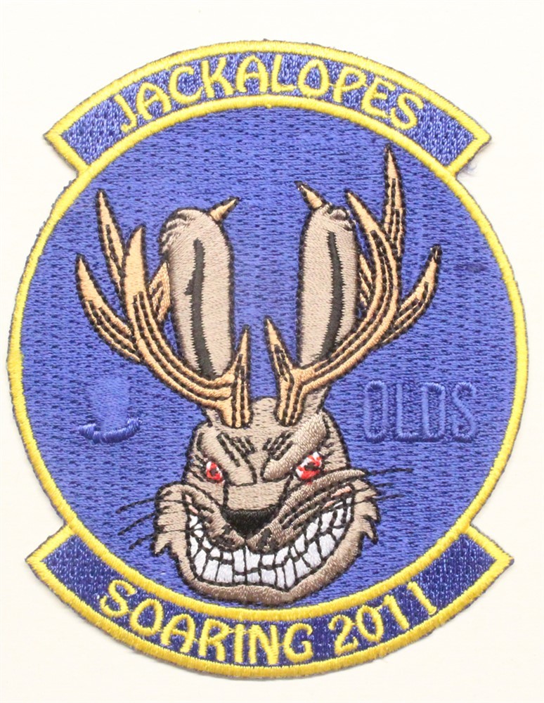 USAF Air Force Patch: 94th Flying Training Squadron 2011 Soaring Team