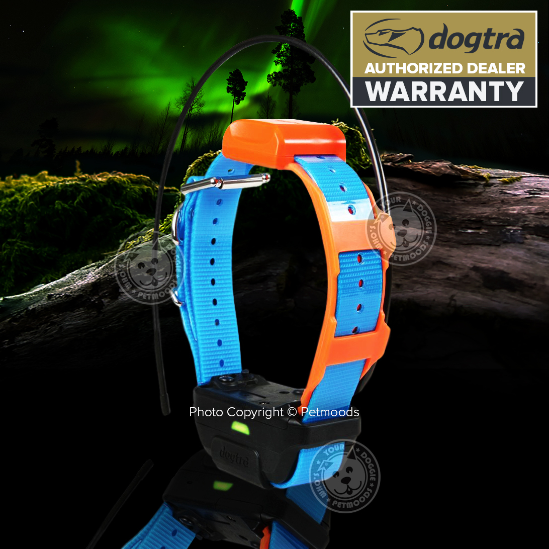 Dogtra Pathfinder TRX Additional Blue Dog Collar Tracking & Hunting GPS-Only