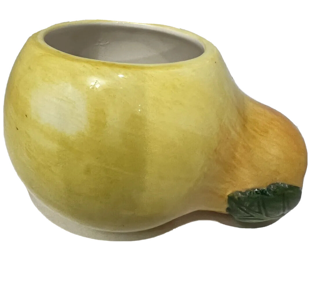 Fitz and Floyd pear planter, Succulents Pot, Scrubber Holder
