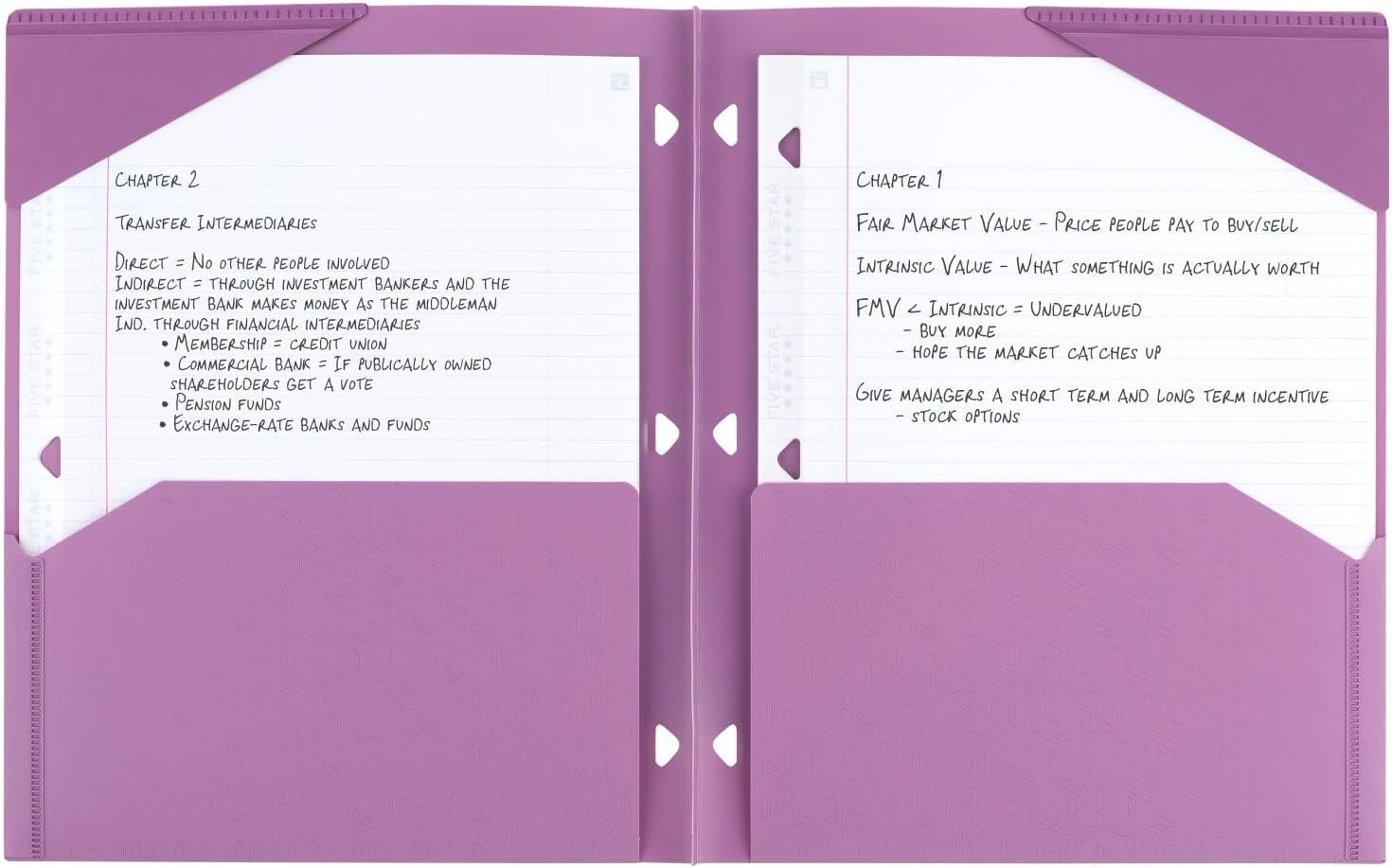 2-Pocket Folder, Plastic Folder with Stay-Put Tabs, Fits 3-Ring Binder, Holds...