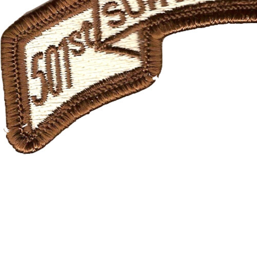 501st LRS Airborne Infantry Desert Patch